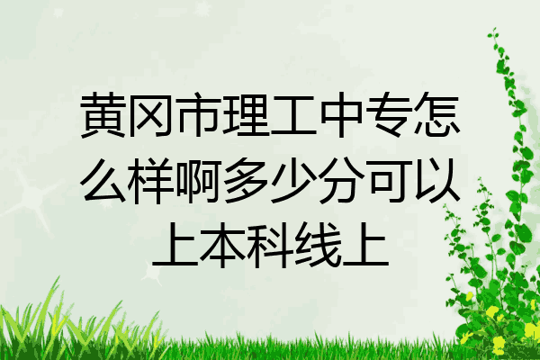 黄冈市理工中专怎么样啊多少分可以上本科线上