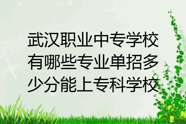 武汉职业中专学校有哪些专业单招多少分能上专科学校