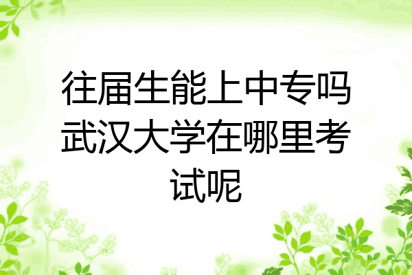 往届生能上中专吗武汉大学在哪里考试呢