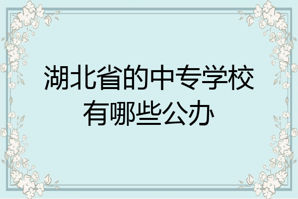 湖北省的中专学校有哪些公办