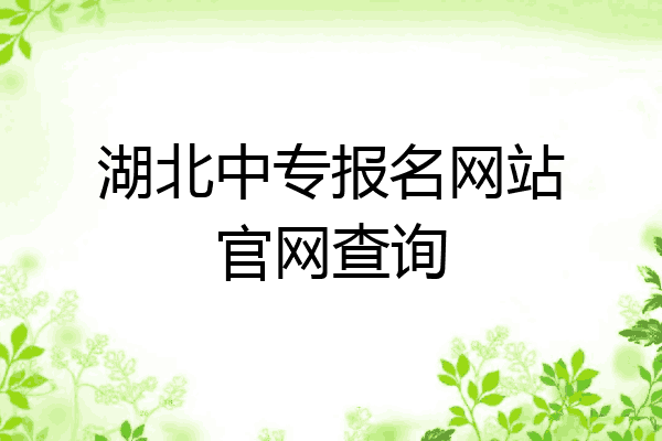 湖北中专报名网站官网查询