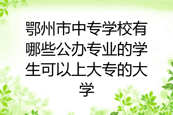 鄂州市中专学校有哪些公办专业的学生可以上大专的大学