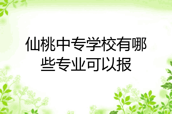 仙桃中专学校有哪些专业可以报
