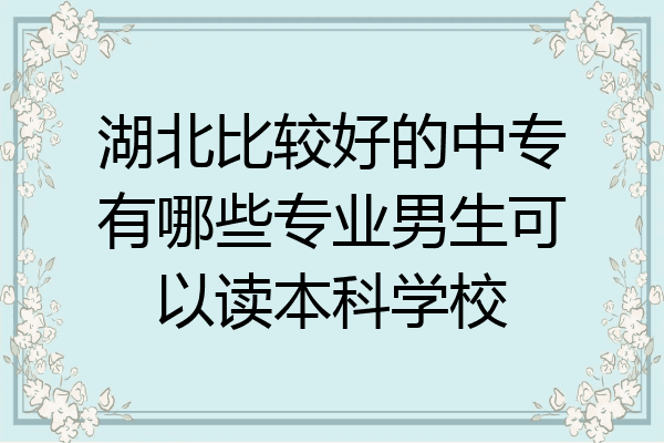 湖北比较好的中专有哪些专业男生可以读本科学校