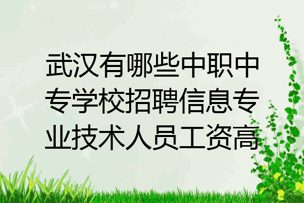 武汉有哪些中职中专学校招聘信息专业技术人员工资高