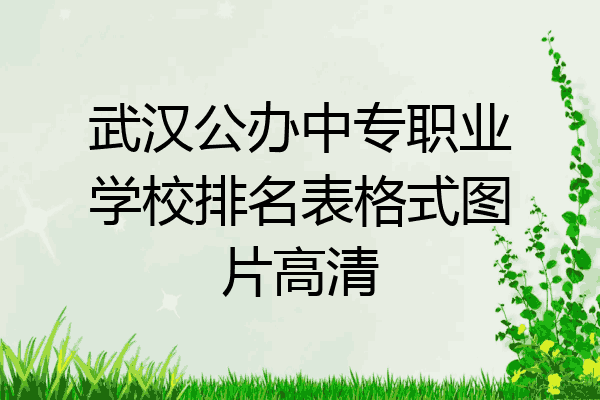 武汉公办中专职业学校排名表格式图片高清