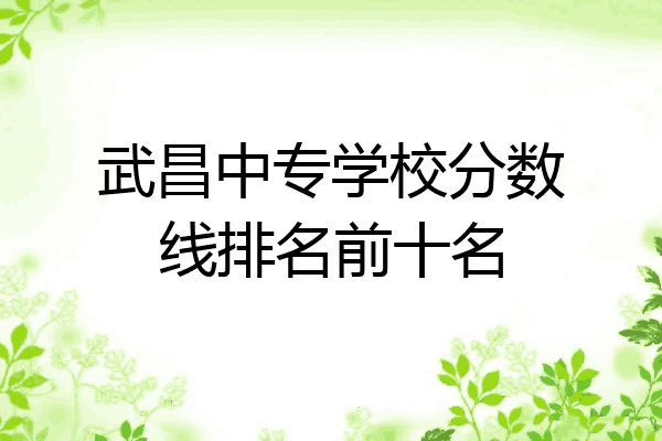 武昌中专学校分数线排名前十名