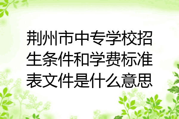 荆州市中专学校招生条件和学费标准表文件是什么意思