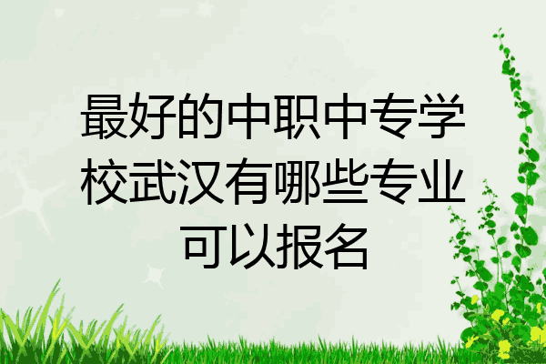 最好的中职中专学校武汉有哪些专业可以报名