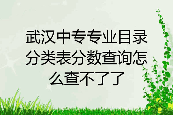 武汉中专专业目录分类表分数查询怎么查不了了