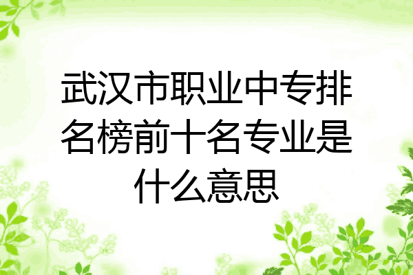 武汉市职业中专排名榜前十名专业是什么意思