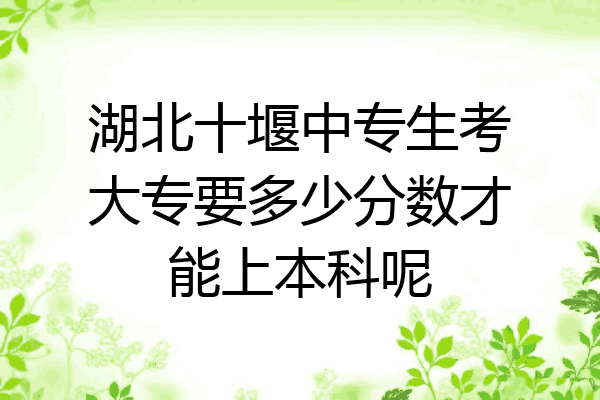 湖北十堰中专生考大专要多少分数才能上本科呢