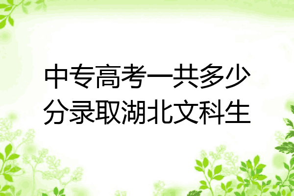 中专高考一共多少分录取湖北文科生