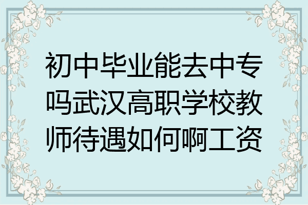 初中毕业能去中专吗武汉高职学校教师待遇如何啊工资