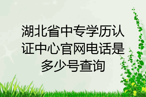 湖北省中专学历认证中心官网电话是多少号查询