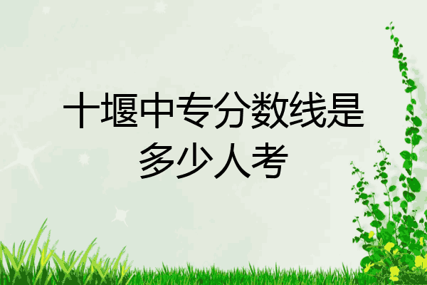 十堰中专分数线是多少人考