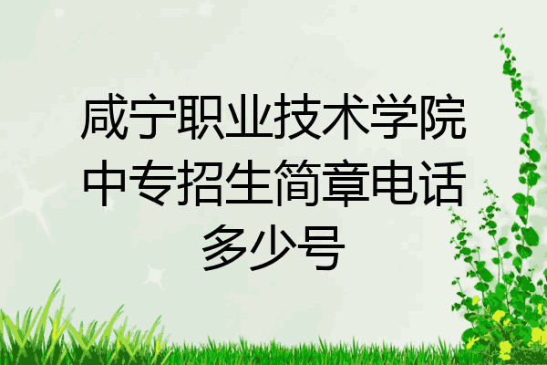 咸宁职业技术学院中专招生简章电话多少号