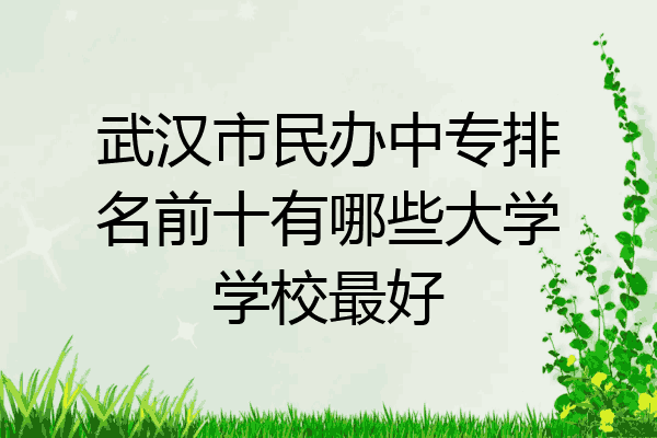 武汉市民办中专排名前十有哪些大学学校最好