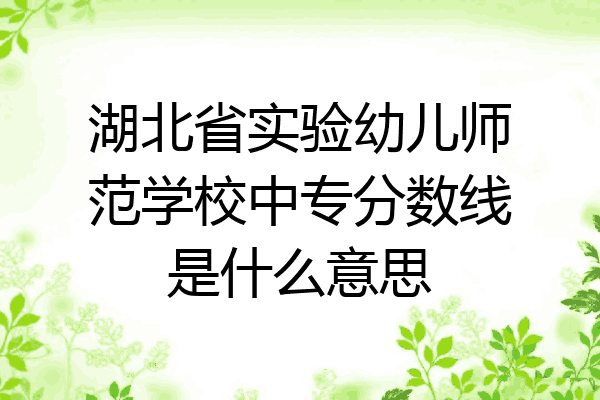 湖北省实验幼儿师范学校中专分数线是什么意思