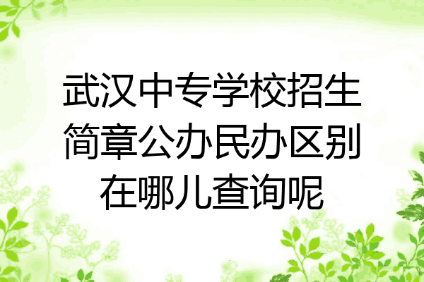 武汉中专学校招生简章公办民办区别在哪儿查询呢