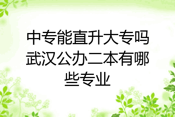 中专能直升大专吗武汉公办二本有哪些专业