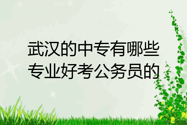 武汉的中专有哪些专业好考公务员的