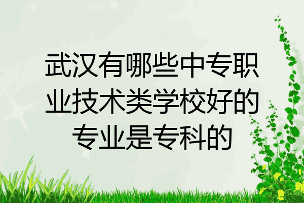 武汉有哪些中专职业技术类学校好的专业是专科的