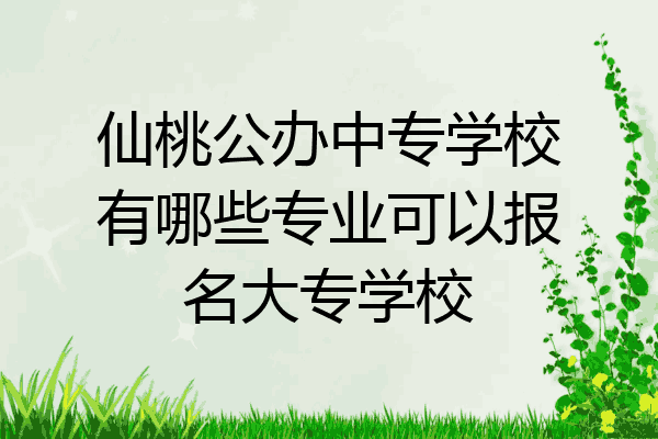 仙桃公办中专学校有哪些专业可以报名大专学校
