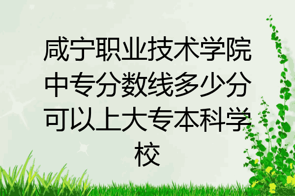 咸宁职业技术学院中专分数线多少分可以上大专本科学校