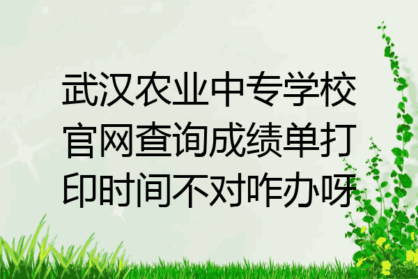 武汉农业中专学校官网查询成绩单打印时间不对咋办呀