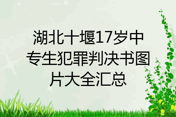 湖北十堰17岁中专生犯罪判决书图片大全汇总
