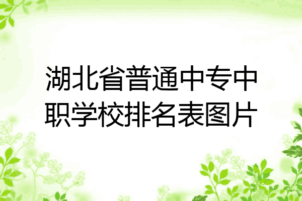 湖北省普通中专中职学校排名表图片