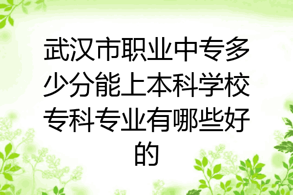 武汉市职业中专多少分能上本科学校专科专业有哪些好的