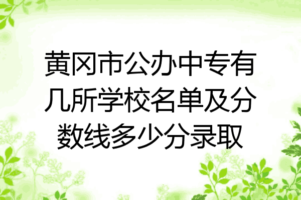 黄冈市公办中专有几所学校名单及分数线多少分录取