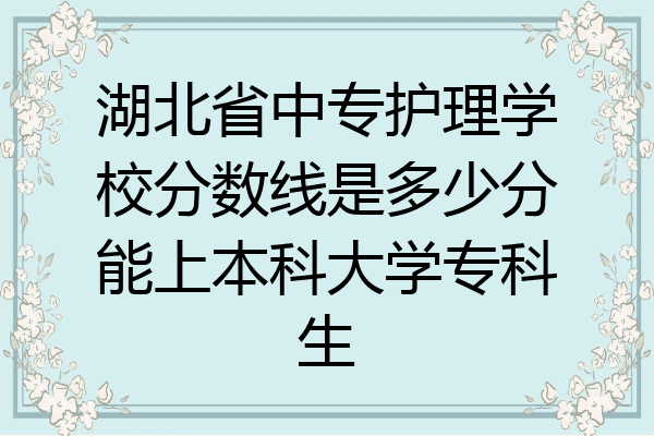 湖北省中专护理学校分数线是多少分能上本科大学专科生