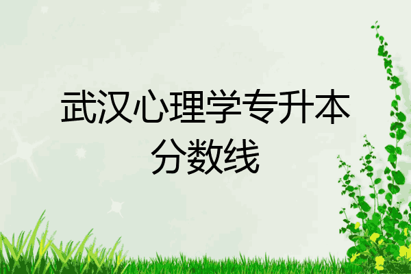 武汉心理学专升本分数线