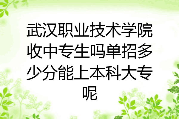 武汉职业技术学院收中专生吗单招多少分能上本科大专呢