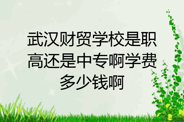 武汉财贸学校是职高还是中专啊学费多少钱啊