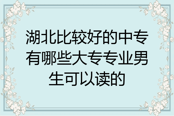 湖北比较好的中专有哪些大专专业男生可以读的