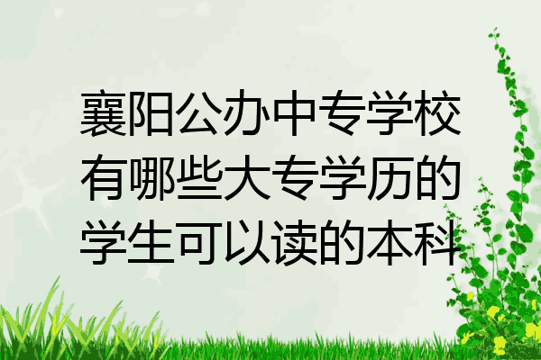 襄阳公办中专学校有哪些大专学历的学生可以读的本科