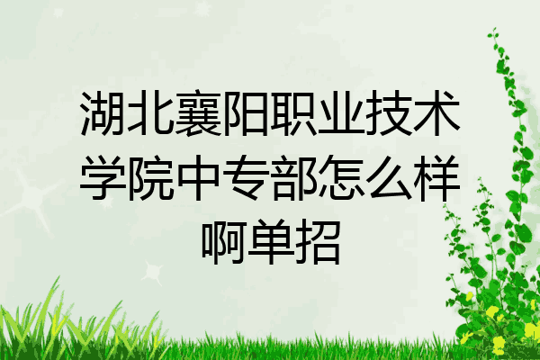 湖北襄阳职业技术学院中专部怎么样啊单招