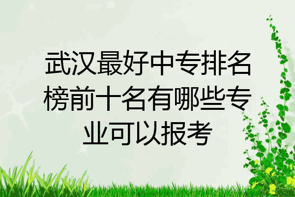 武汉最好中专排名榜前十名有哪些专业可以报考