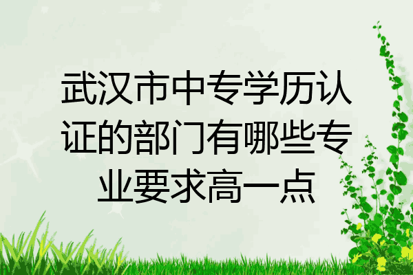 武汉市中专学历认证的部门有哪些专业要求高一点