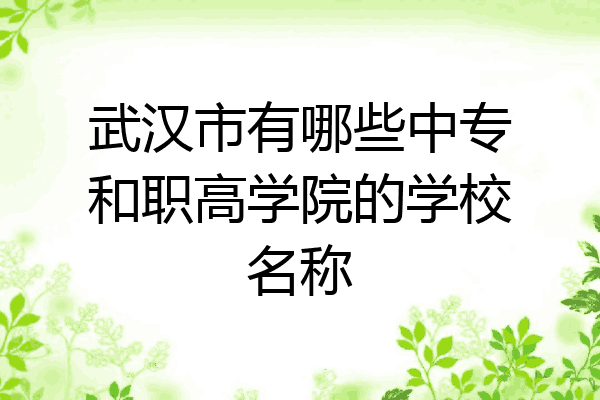 武汉市有哪些中专和职高学院的学校名称