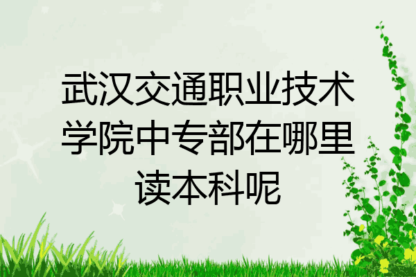 武汉交通职业技术学院中专部在哪里读本科呢