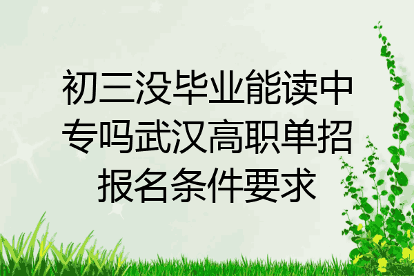 初三没毕业能读中专吗武汉高职单招报名条件要求