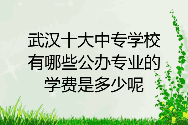 武汉十大中专学校有哪些公办专业的学费是多少呢