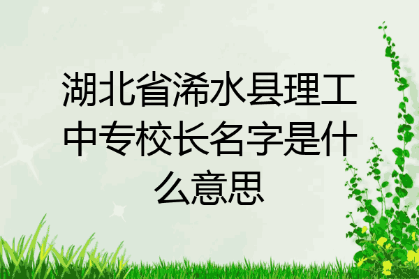 湖北省浠水县理工中专校长名字是什么意思