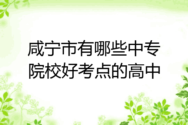 咸宁市有哪些中专院校好考点的高中