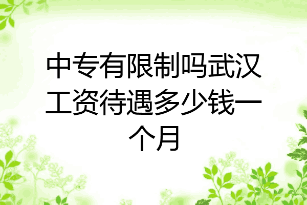 中专有限制吗武汉工资待遇多少钱一个月